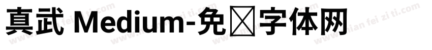 真武 Medium字体转换